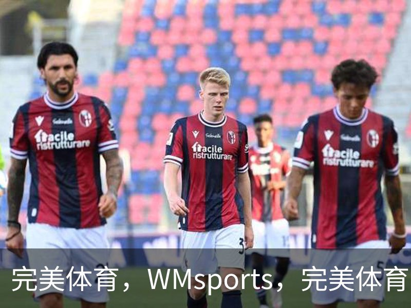 完美体育，WMsports，完美体育官方，完美体育平台，完美体育下载介绍